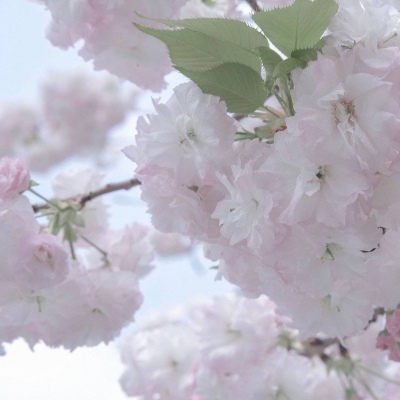 夏县FurryQQ群介绍